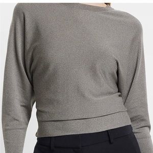 NWT Express Sweater